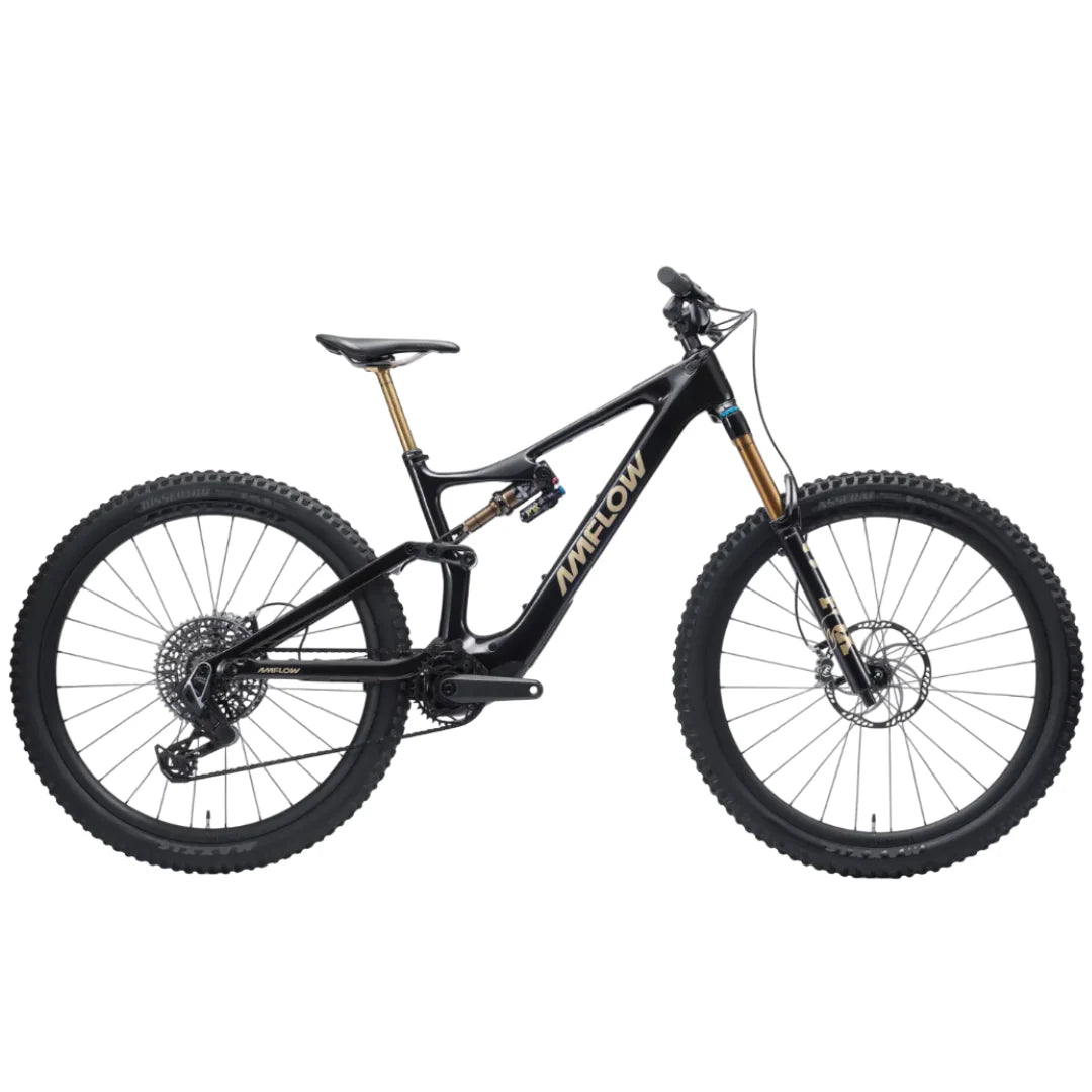 BICI AMFLOW PL CARBON PRO 800 WH