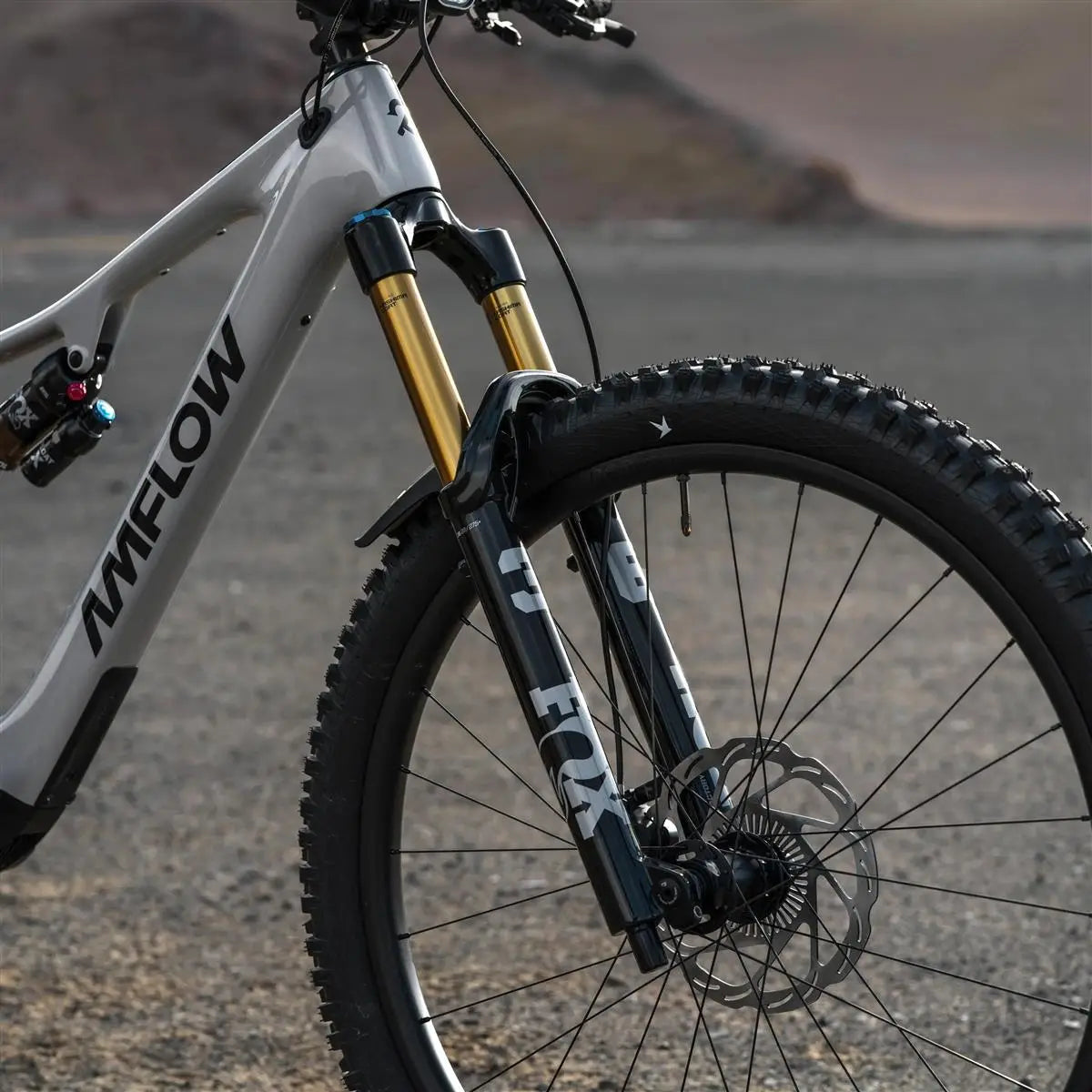 Amflow  PX Carbon Pro Avinox M2S