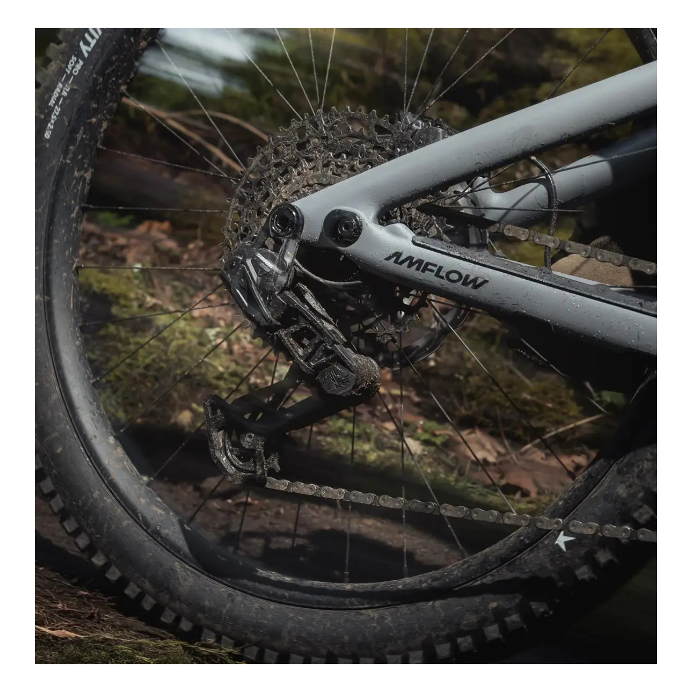 AMFLOW PR CARBON PRO