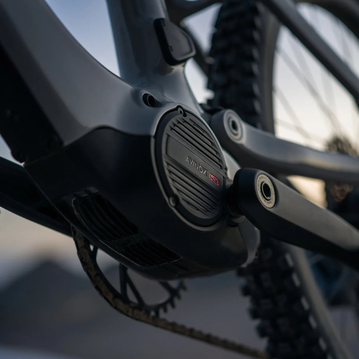 Amflow  PX Carbon Avinox M2S