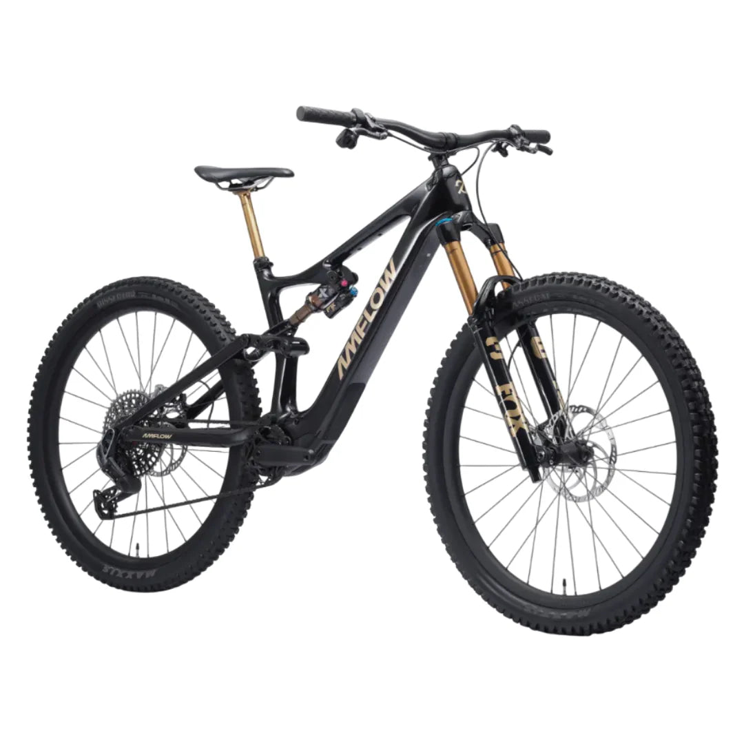 BICI AMFLOW PL CARBON PRO 800 WH